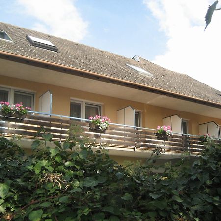 Gasthof Zum Engel Döttingen المظهر الخارجي الصورة